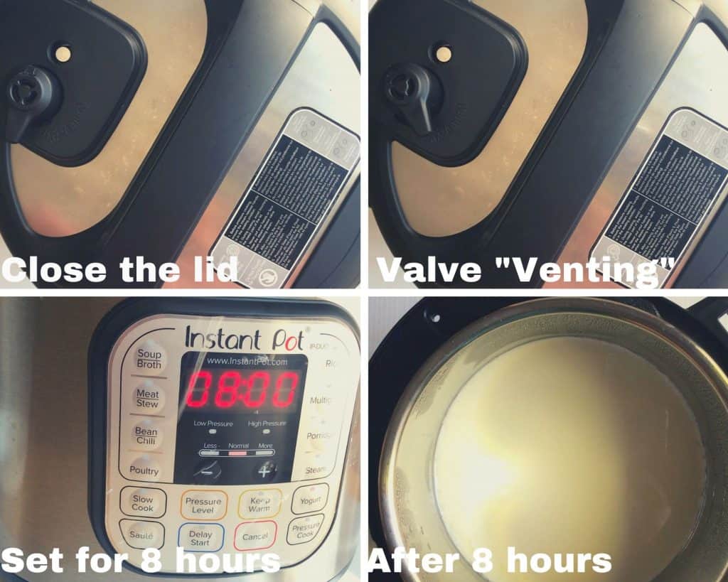 incubating yogurt for 8 hours