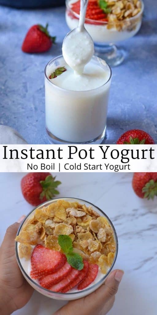 homemade instant pot yogurt cold start