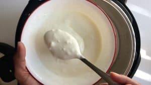 starter whisked with milk